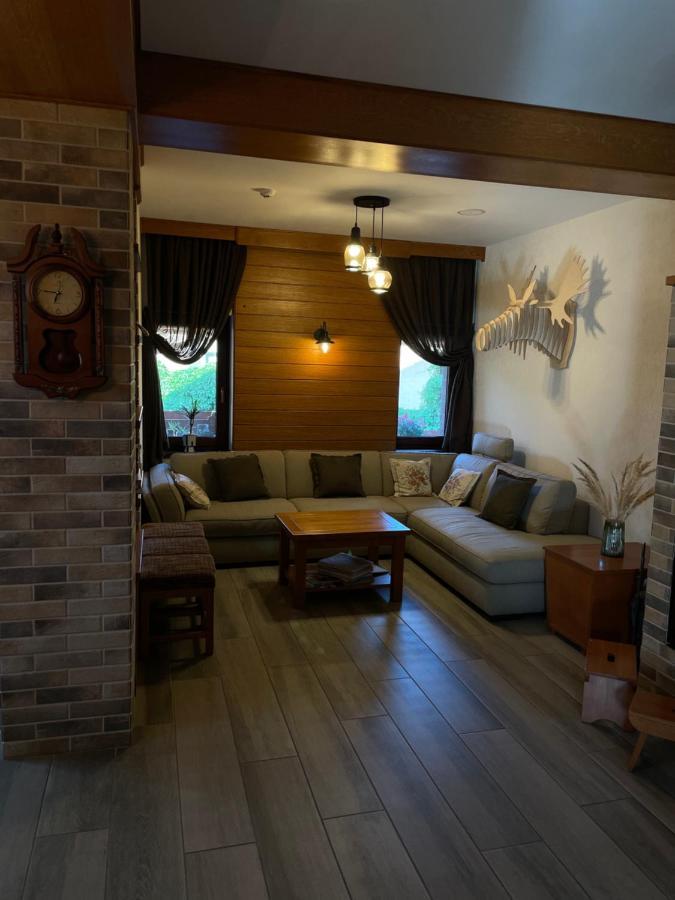Villa Montana Борсек Екстериор снимка