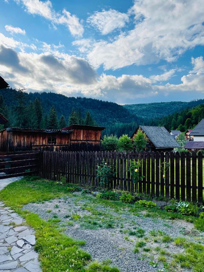 Villa Montana Борсек Екстериор снимка