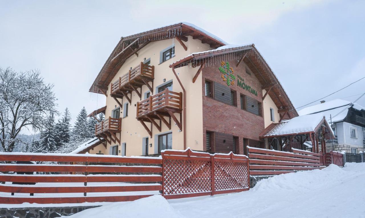 Villa Montana Борсек Екстериор снимка