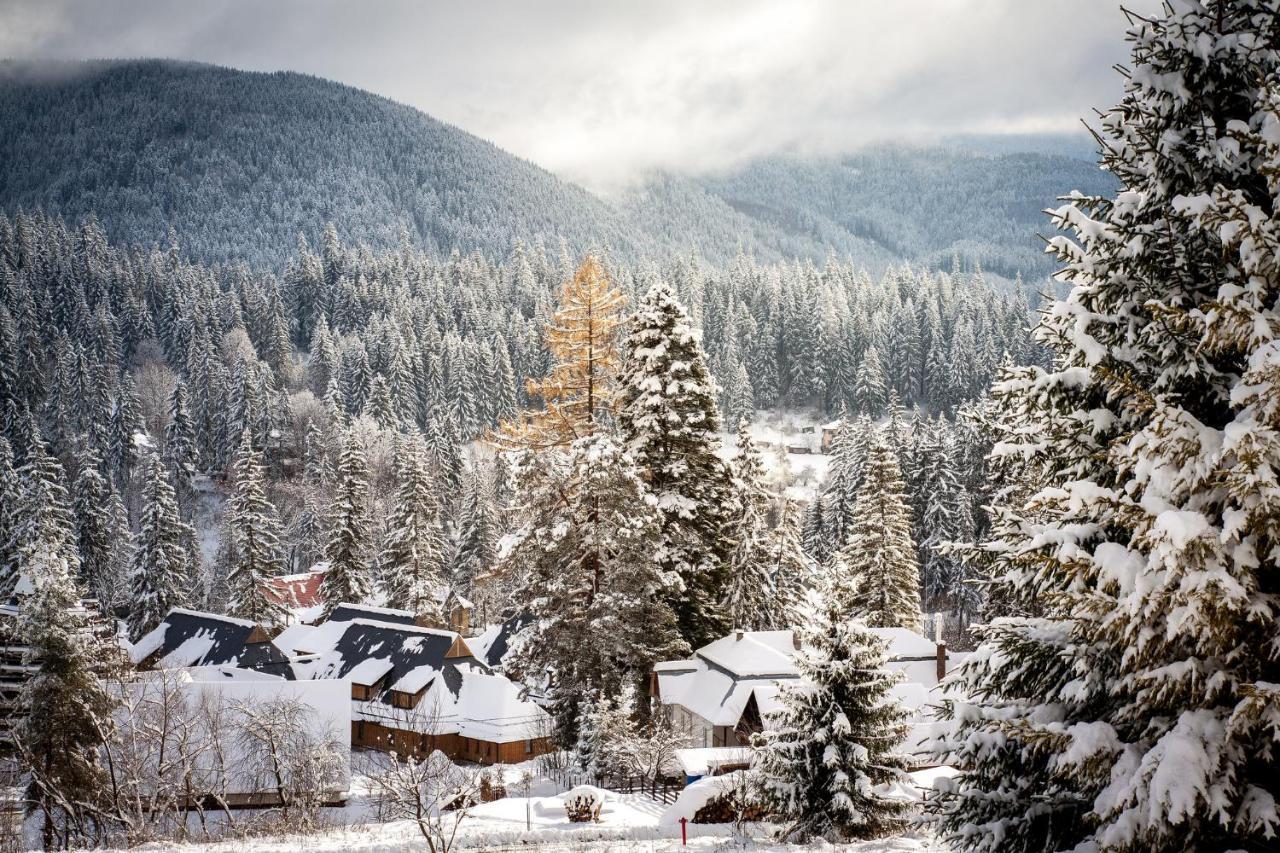 Villa Montana Борсек Екстериор снимка