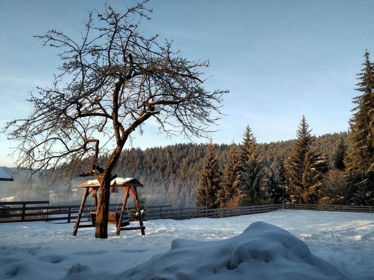 Villa Montana Борсек Екстериор снимка